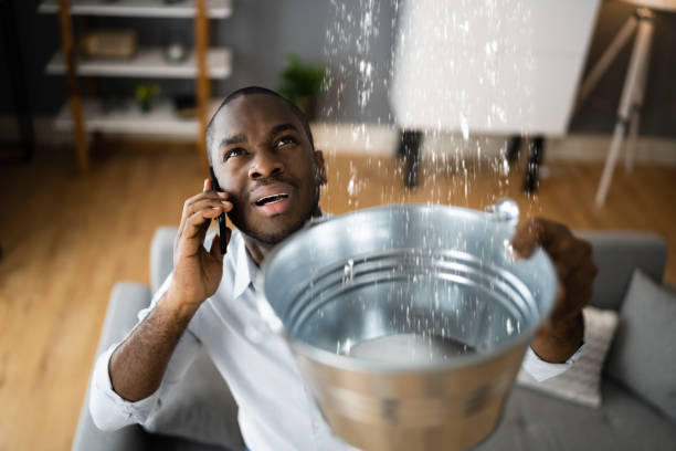 Best Water damage restoration specialists  in Athena, OR