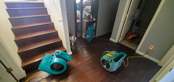 Best 24-hour water damage restoration  in Athena, OR