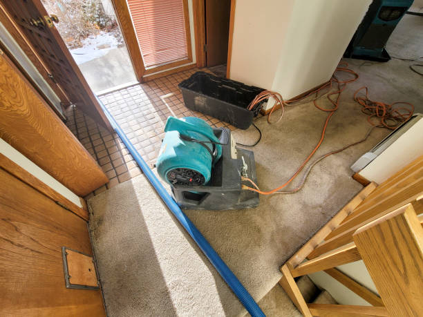 Best Basement water damage restoration  in Athena, OR