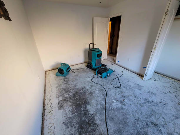 Best Flood restoration services  in Athena, OR