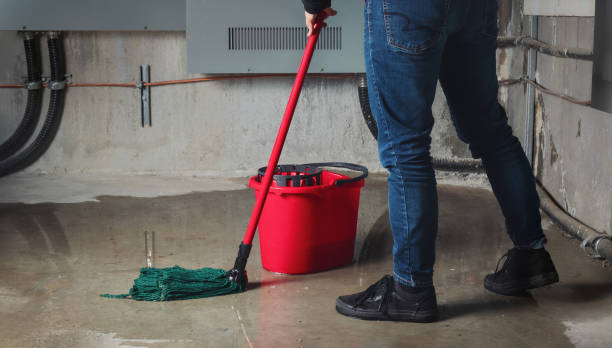 Best Water damage restoration near me  in Athena, OR