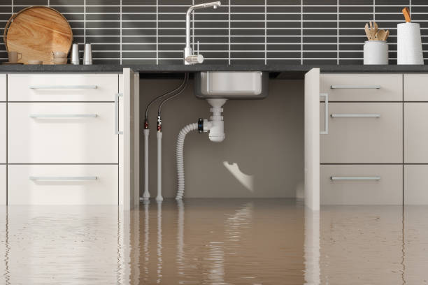 Best Water damage restoration experts  in Athena, OR