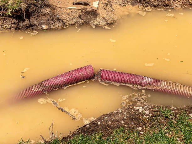 Reliable Athena, OR Water damage restoration Solutions