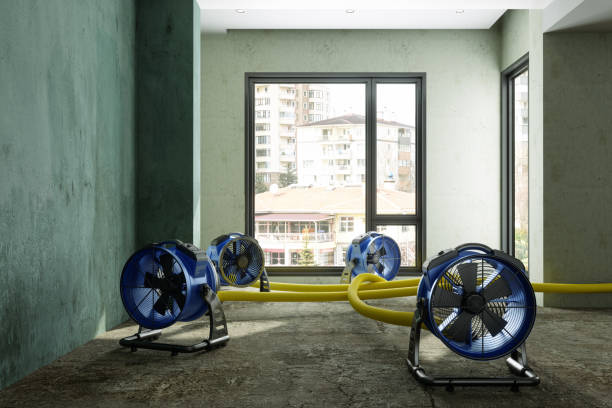 Best Commercial water damage restoration  in Athena, OR