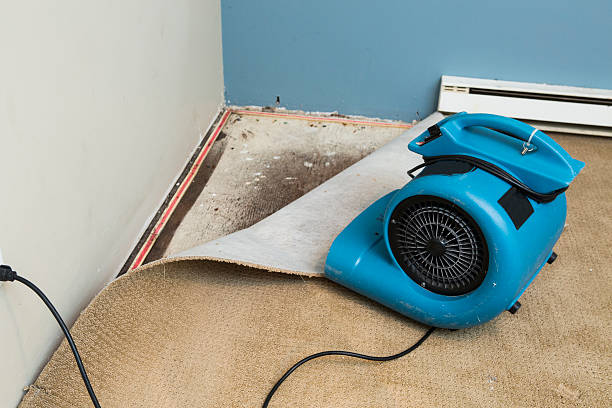 Best Water damage restoration near me  in Athena, OR